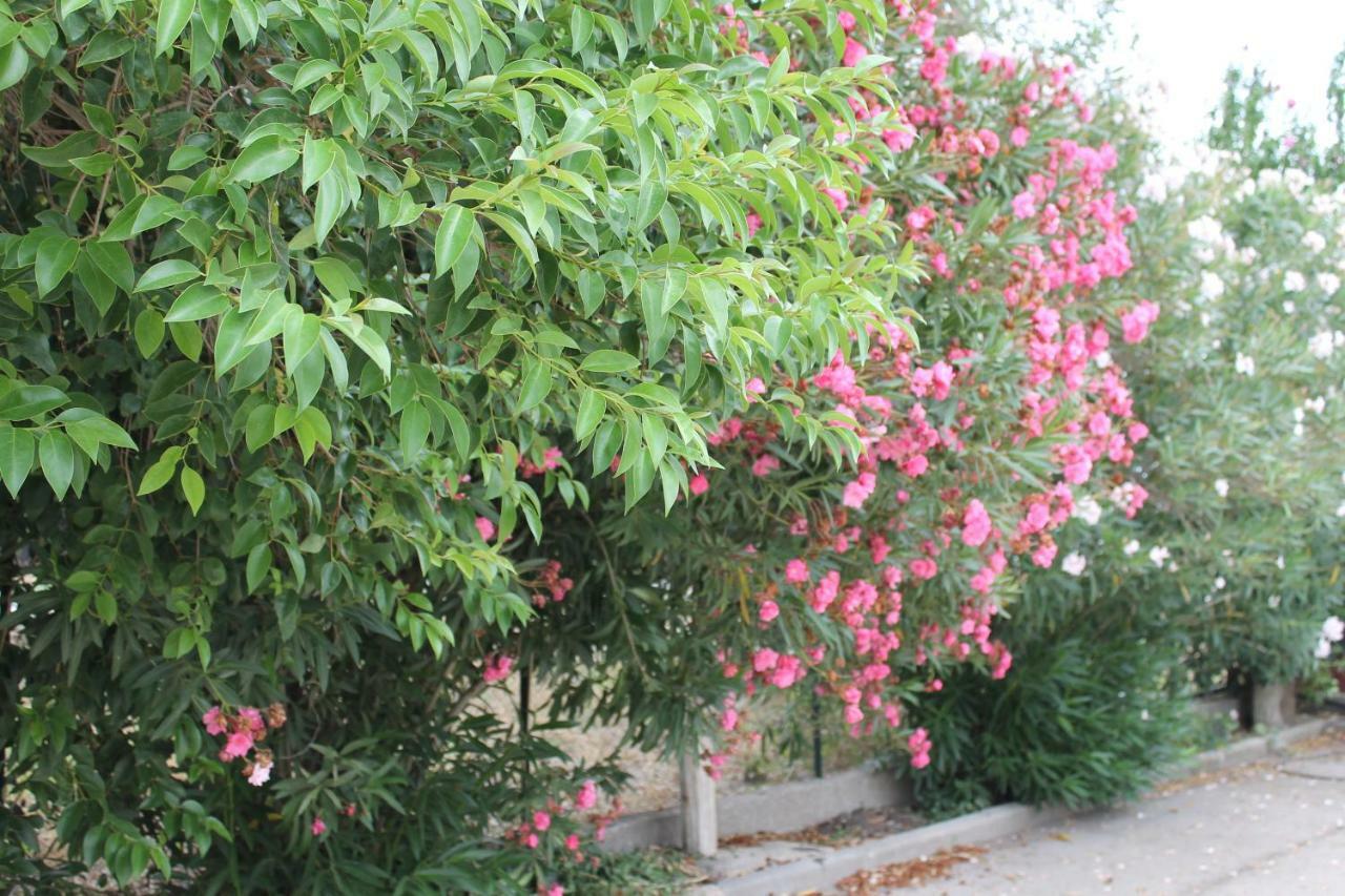 פויג'ה Le Anfore Di Arpi מראה חיצוני תמונה